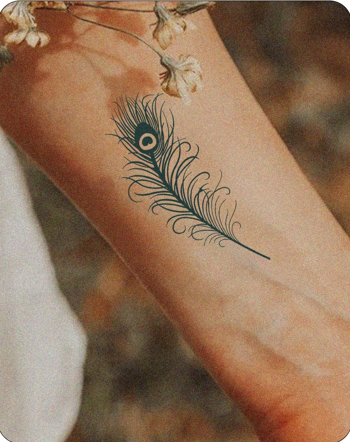 Peacock Tattoos - INKHUB