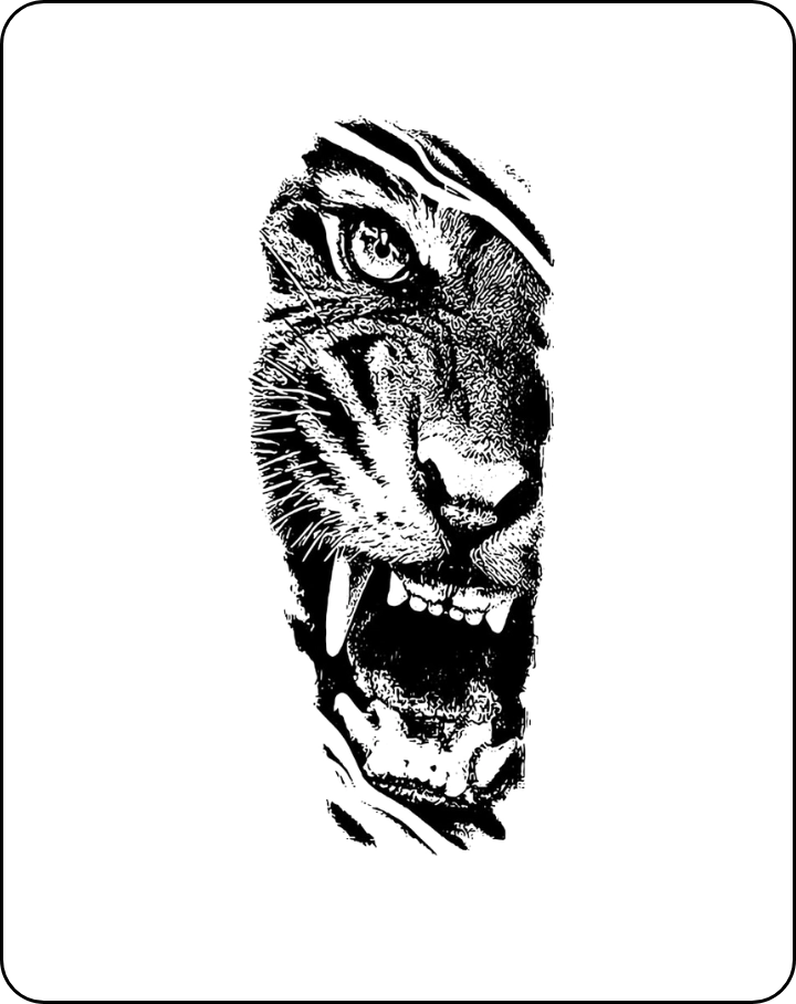 tiger tattoos