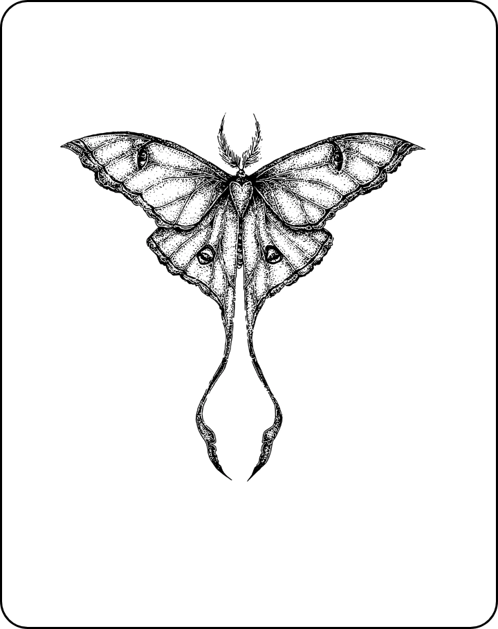 Celestial Moth tattoos - INKHUB