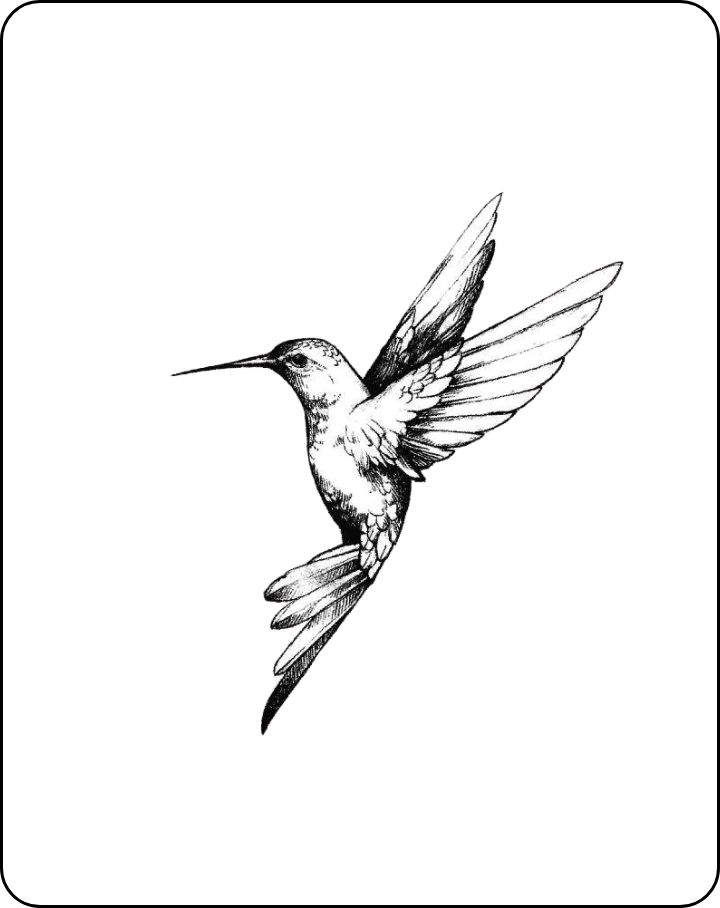 Humming-Bird - INKHUB